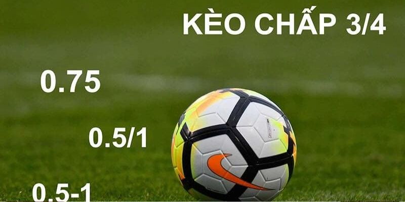 Kinh nghiệm chơi kèo 3/4 từ các cao thủ chuyên nghiệp 