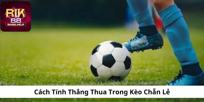 Kinh nghiệm chơi kèo chẵn lẻ hiệu quả cho người mới