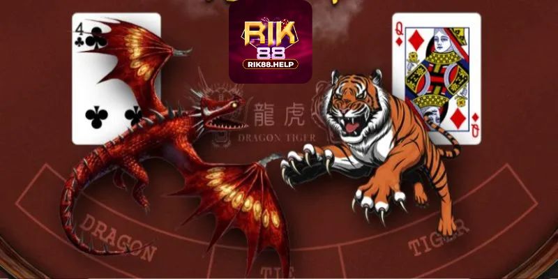 Những điểm cần lưu ý khi tham gia chơi Rồng Hổ Rik88 Online